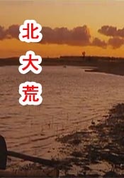 战狼3全集观看免费完整版高清